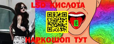 гидра Брянск