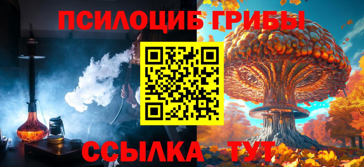 Галлюциногенные грибы Magic Shrooms Железноводск