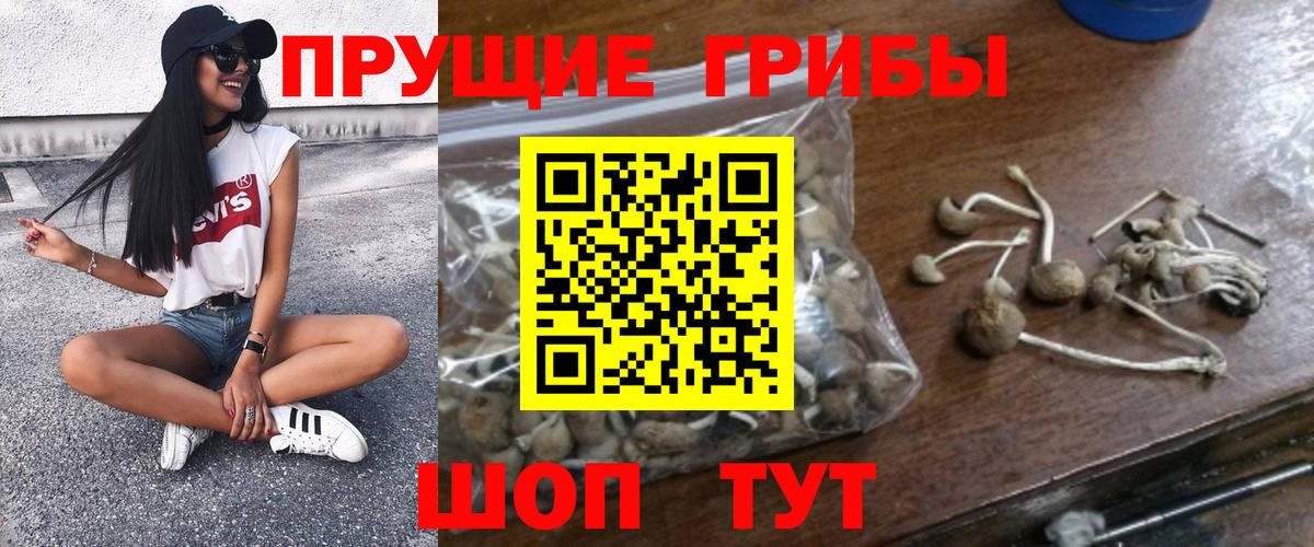 Псилоцибиновые грибы GOLDEN TEACHER  Вход с VPN  Железноводск 